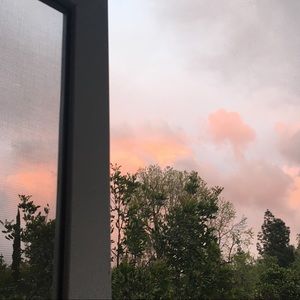 Meet Your Posher: MAYA